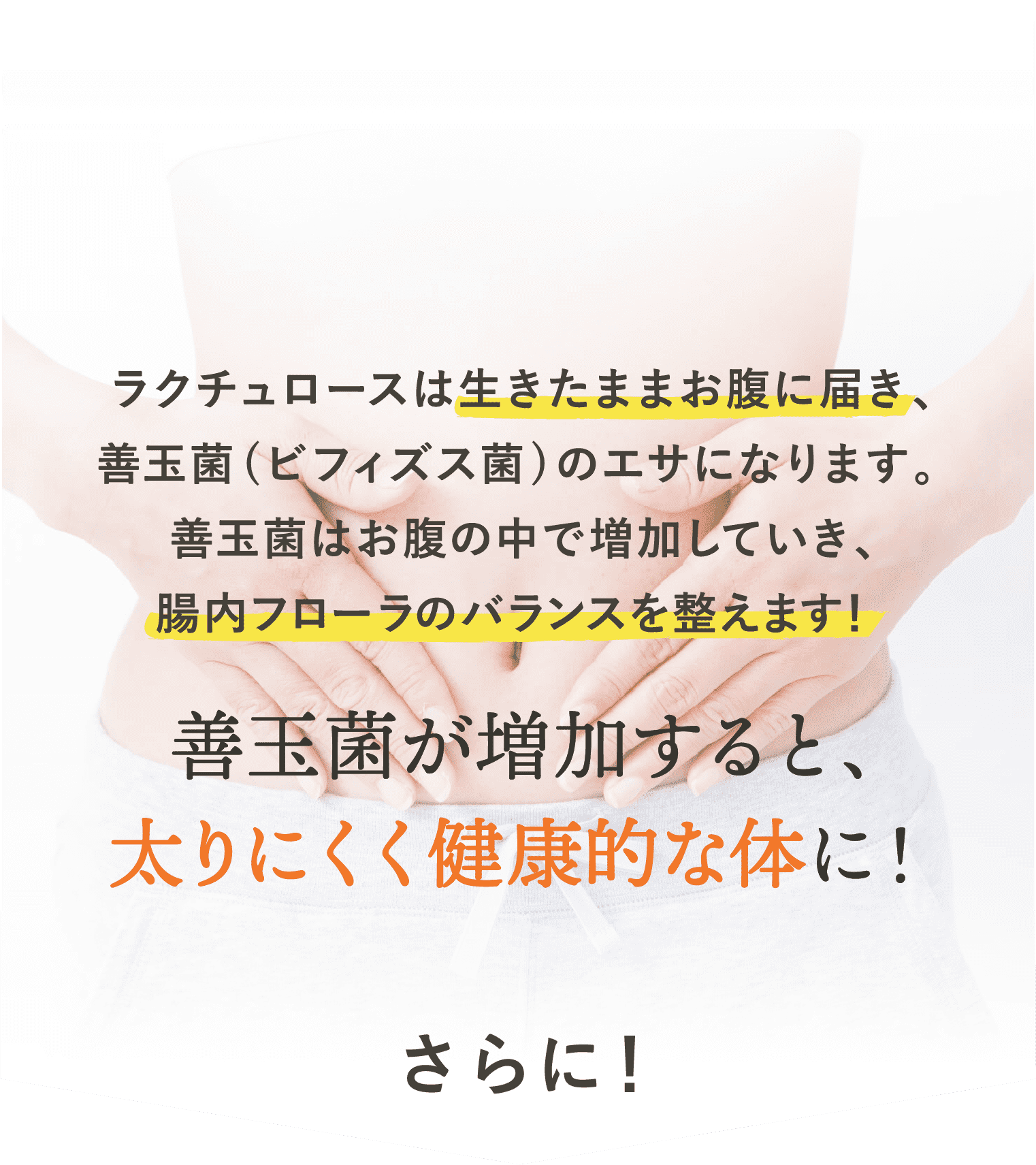 ラクチュロースが餌になる