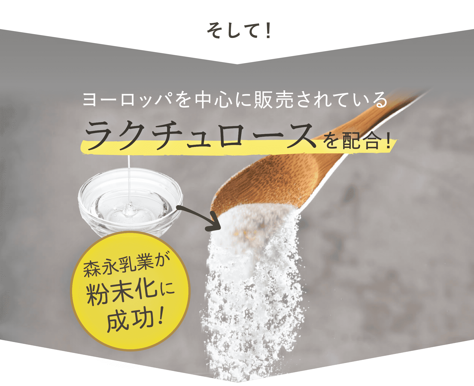 粉末化されたラクチュロース