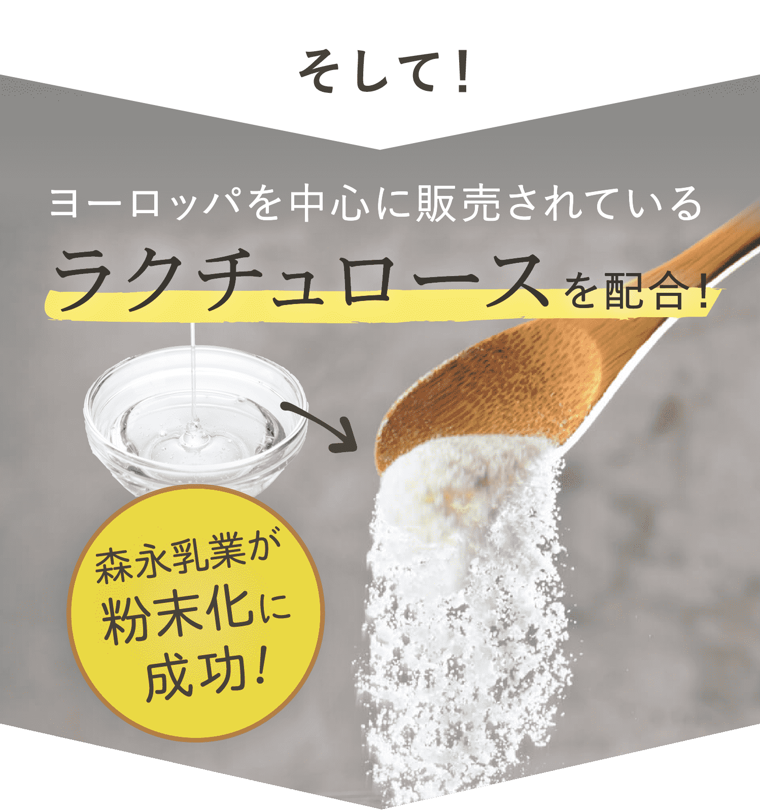粉末化されたラクチュロース