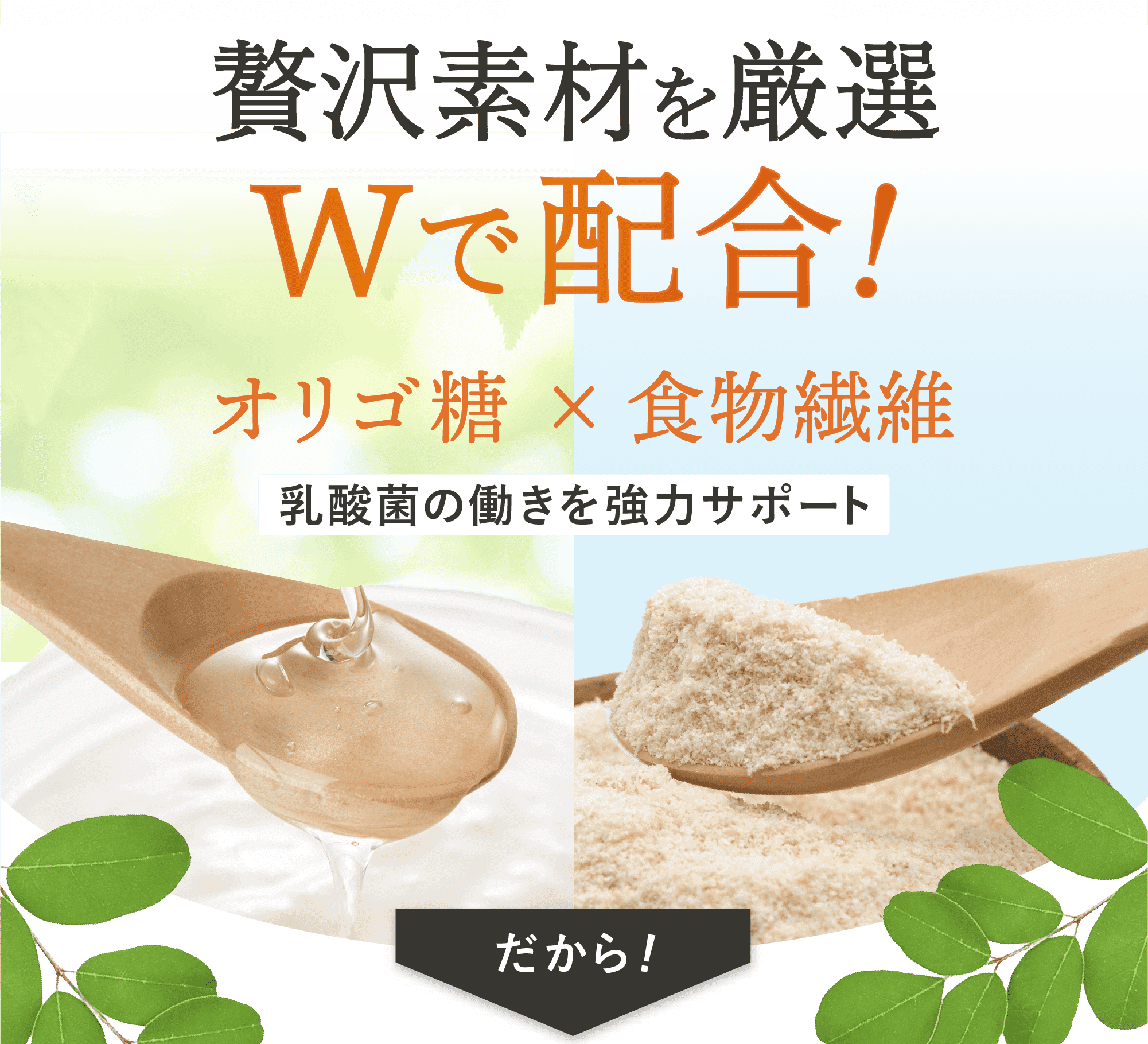 そのほかにもオリゴ糖と食物繊維