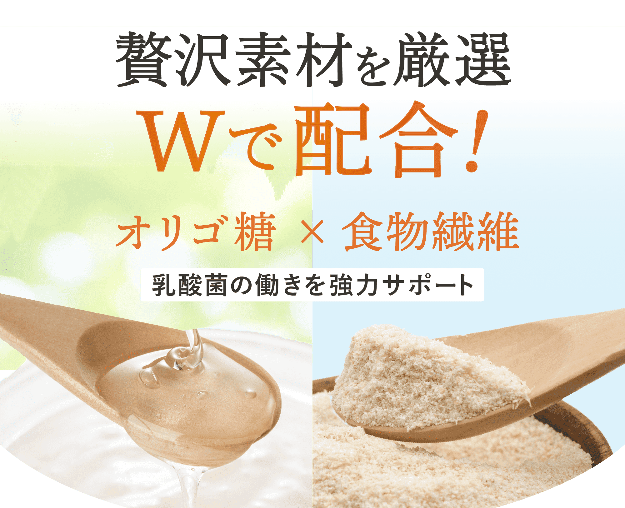 オリゴ糖と食物繊維